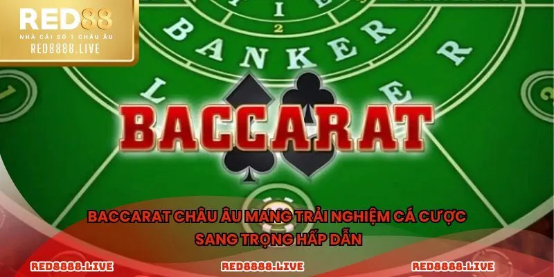 Baccarat Châu Âu mang trải nghiệm cá cược sang trọng hấp dẫn