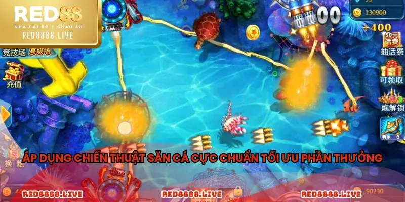 Áp dụng chiến thuật săn cá cực chuẩn tối ưu phần thưởng