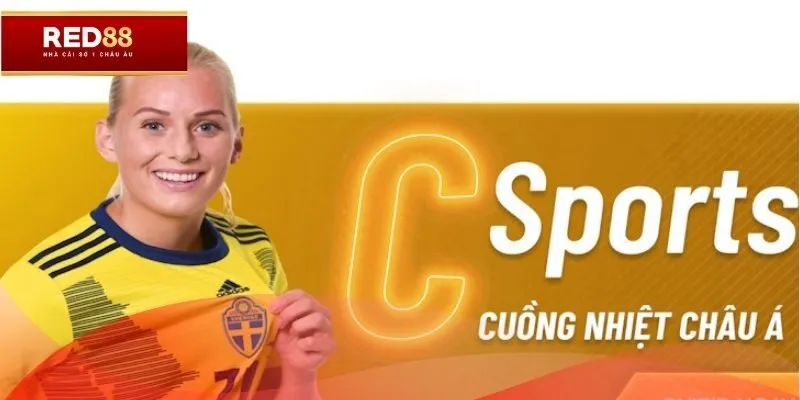Bạn sẽ được tận hưởng trải nghiệm cá độ đỉnh cao tại C- Sport