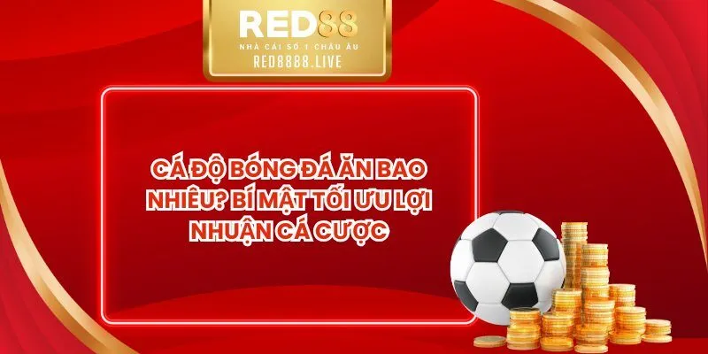 Cá Độ Bóng Đá Ăn Bao Nhiêu? Bí Mật Tối Ưu Lợi Nhuận Cá Cược