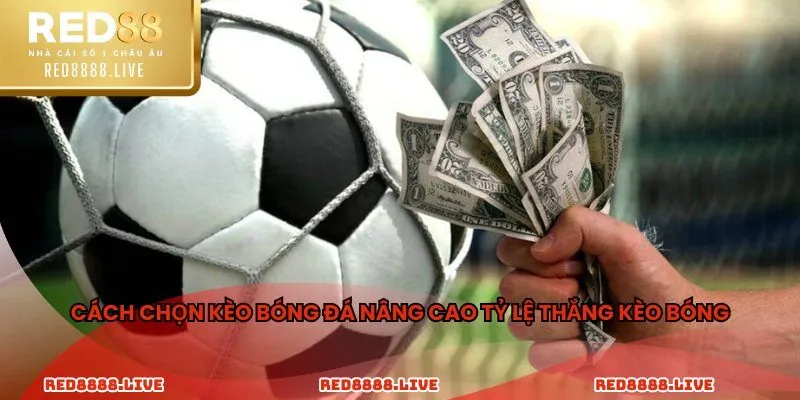 Cách chọn kèo bóng đá nâng cao tỷ lệ thắng kèo bóng