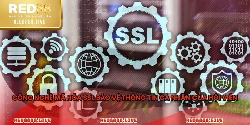 Công nghệ mã hóa SSL bảo vệ thông tin cá nhân của hội viên