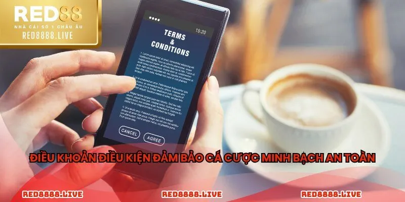 Điều khoản điều kiện đảm bảo cá cược minh bạch an toàn