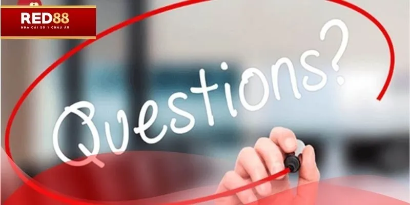 Hiểu rõ về danh mục thông qua giải đáp về băn khoăn thường gặp