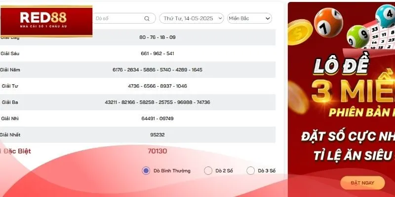 Hiển thị bảng kết quả dễ đọc
