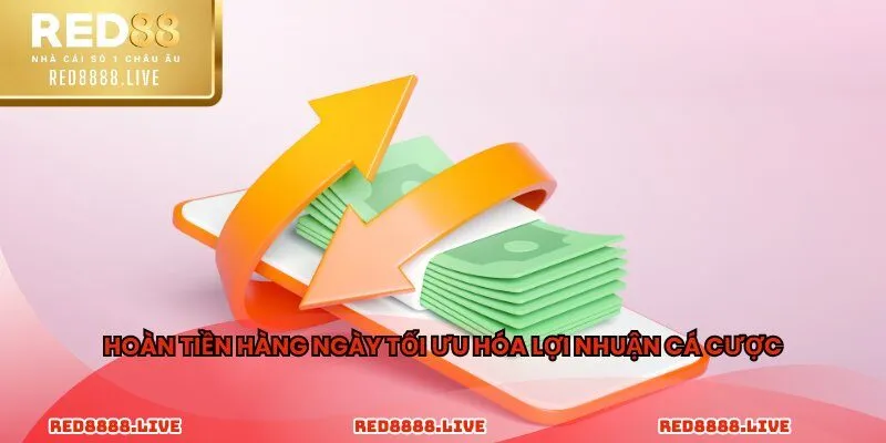 Hoàn tiền hàng ngày tối ưu hóa lợi nhuận cá cược