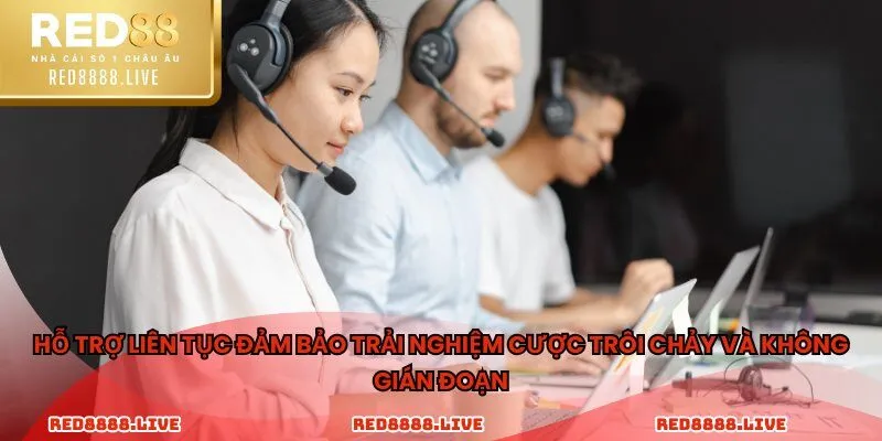 Hỗ trợ liên tục đảm bảo trải nghiệm cược trôi chảy và không gián đoạn