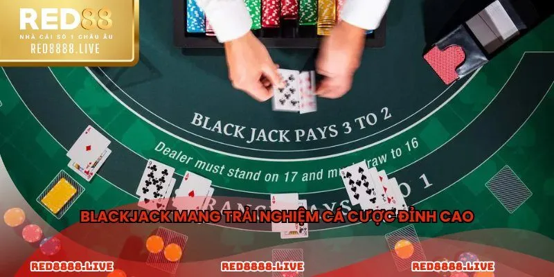 Blackjack mang trải nghiệm cá cược đỉnh cao