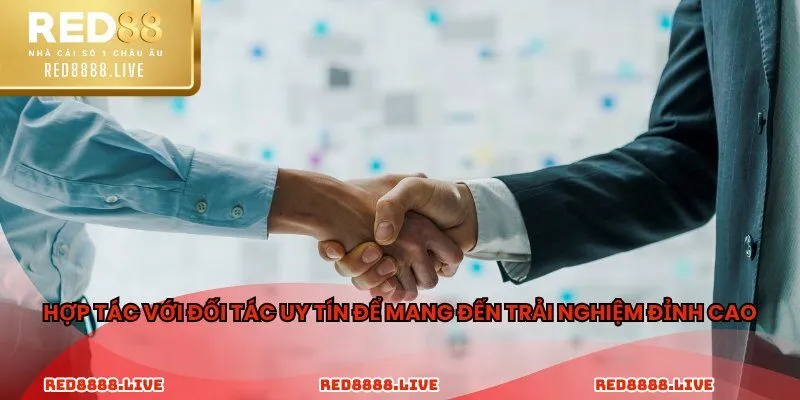 Hợp tác với đối tác uy tín để mang đến trải nghiệm đỉnh cao